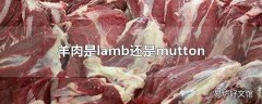 羊肉是lamb还是mutton