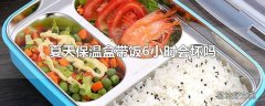 夏天保温盒带饭6小时会坏吗