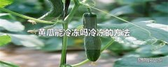 黄瓜能冷冻吗冷冻的方法