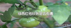 绿西红柿炒熟是否有毒