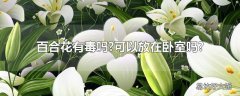 百合花有毒吗?可以放在卧室吗?