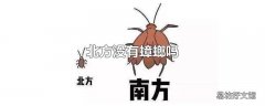 北方没有蟑螂吗