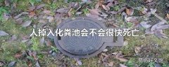 人掉入化粪池会不会很快死亡