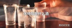 伏特加是什么酒