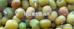 绿豆虫怎么消灭