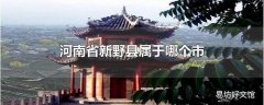 河南省新野县属于哪个市