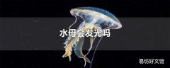 水母会发光吗