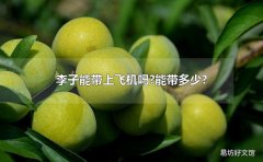 李子能带上飞机吗?能带多少?