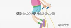 跳绳500个消耗多少大卡