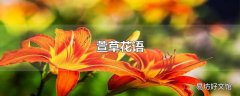 萱草花语