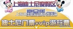 上海迪士尼vip通道怎么买