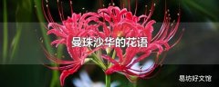 曼珠沙华的花语