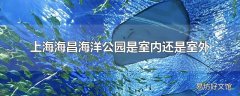 上海海昌海洋公园是室内还是室外