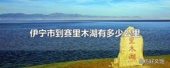 伊宁市到赛里木湖有多少公里