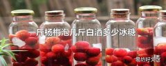 一斤杨梅泡几斤白酒多少冰糖