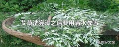 艾草洗完澡之后要用清水洗吗