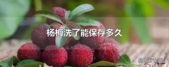 杨梅洗了能保存多久