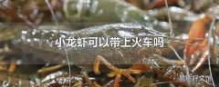 小龙虾可以带上火车吗