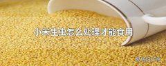 小米生虫怎么处理才能食用