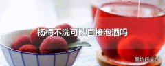 杨梅不洗可以直接泡酒吗