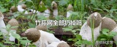 竹荪网全部扔掉吗