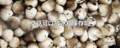 草菇可以放冰箱保存吗