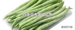 四季豆煮多久能熟