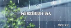 小雨和阵雨哪个雨大