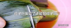 粽子叶发霉了还能包粽子吗