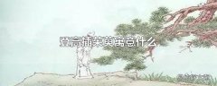 登高插茱萸寓意什么