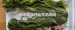 裙带菜含钙比牛奶高吗