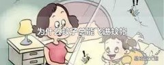 为什么蚊子总能飞进蚊帐