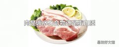 肉是碳水化合物还是蛋白质