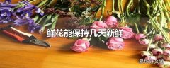 鲜花能保持几天新鲜