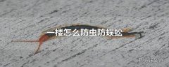 一楼怎么防虫防蜈蚣?