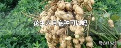 花生六月底种可以吗