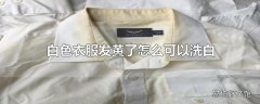 白色衣服发黄了怎么可以洗白