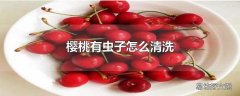 樱桃有虫子怎么清洗