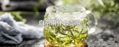 白茶用什么壶泡