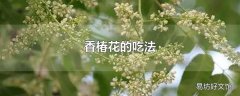 香椿花的吃法