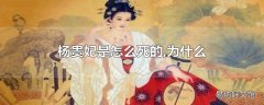 杨贵妃是怎么死的,为什么