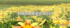 新鲜黄花菜要去花蕊吗