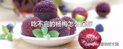 吃不完的杨梅怎么保存