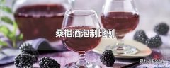 桑椹酒泡制比例