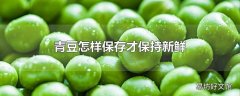 青豆怎样保存才保持新鲜