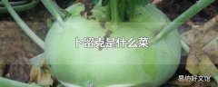 卜留克是什么菜