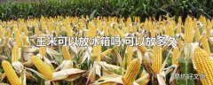 玉米可以放冰箱吗,可以放多久