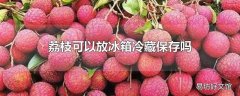 荔枝可以放冰箱冷藏保存吗