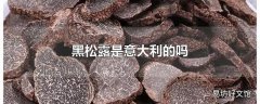 黑松露是意大利的吗