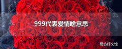 999代表爱情啥意思